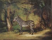 Horse George Stubbs